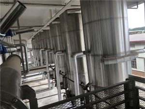 广西鸿博原生制药提取罐